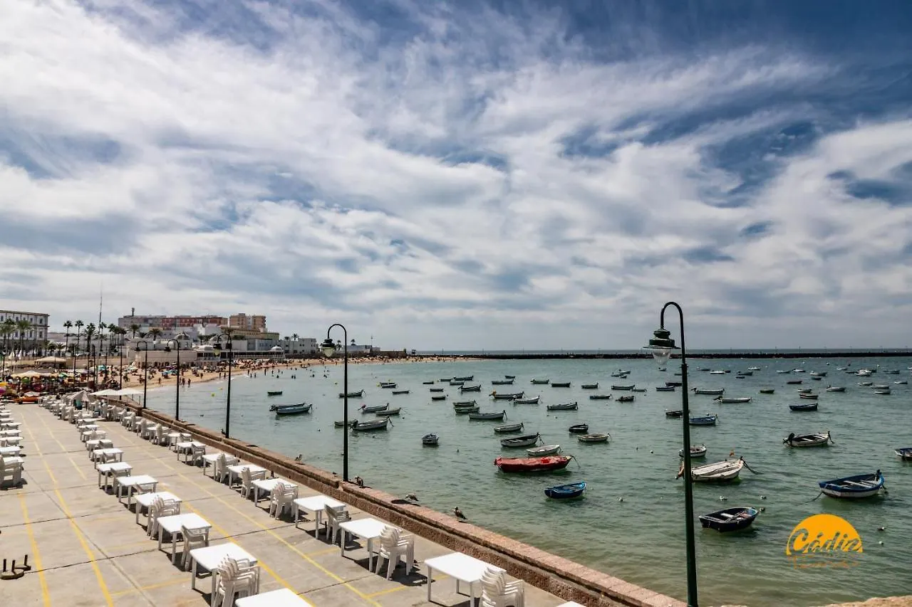 Apartamento Carpenter'S Home By Cadiz Time Espanha